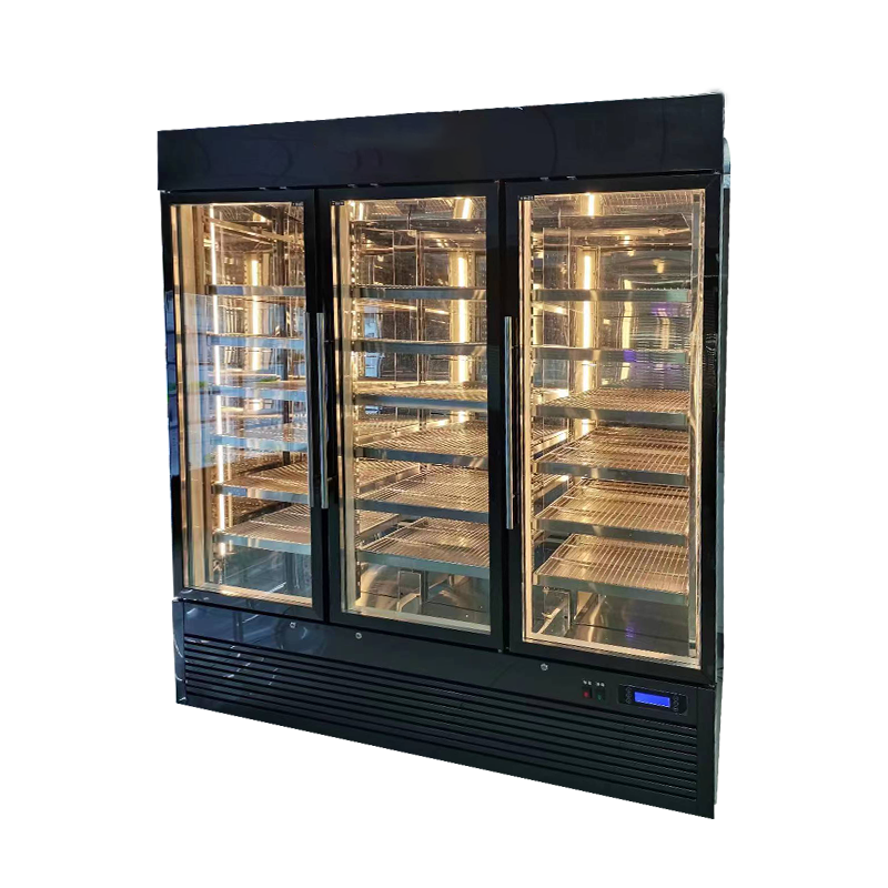 Astar bistec de carne seca ager nevera bs-2090l3f